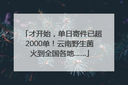才开始，单日寄件已超2000单！云南野生菌火到全国各地……
